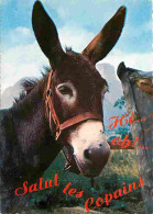 Animaux - Anes - Carte Humoristique - CPM - Voir Scans Recto-Verso - Donkeys