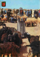 Animaux - Chèvres - Maroc - Grand Zoco - Marché De Bétail - Folklore Scènes Et Types - CPM - Voir Scans Recto-Verso - Autres & Non Classés