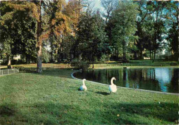 94 - Vitry Sur Seine - Le Parc Municipal - Cygnes - Carte Dentelée - CPSM Grand Format - Voir Scans Recto-Verso - Vitry Sur Seine