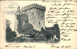 11193375 Queenstown Blarney Castle - Autres & Non Classés