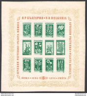 1935 BULGARIA, Fiori E Piante Medicinali - Yvert Foglietto N. 4 - Non Dentellato 160mm X 172 Mm - MNH** - Autres & Non Classés