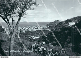 Bf633 Cartolina Capo D'orlando Panorama Provincia Di Messina - Messina