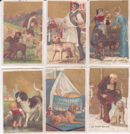 6 Oude Chromo's; Anno 1900,  A LA BELLE JARDINIERE, GAND, GENT, Honden, Chiens, Dogs, Hünde - Autres & Non Classés
