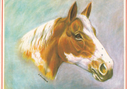Horse - Cheval - Paard - Pferd - Cavallo - Cavalo - Caballo - Häst - Satukustannus - Caballos