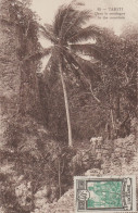 TAHITI DANS LA MONTAGNE 1924 - Tahití