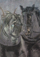 Horse - Cheval - Paard - Pferd - Cavallo - Cavalo - Caballo - Häst - Silver Postcard - Caballos