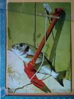 KOV 510-1 - FISH, POISSON, - Vissen & Schaaldieren