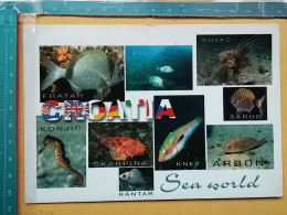 KOV 510-1 - FISH, POISSON, CROATIA, HIPPOCAMPE - Pescados Y Crustáceos