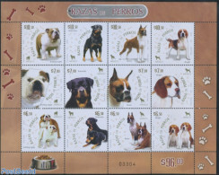 Mexico 2007 Dogs 12v M/s, Mint NH, Nature - Dogs - Mexique