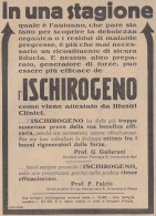 Ischirogeno - Prof. G. Gallerani - Pubblicità D'epoca - 1931 Advertising - Publicités