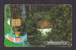 2000 Russia, Phonecard ›White Mushroom,50 Units,Col:RU-MG-TS-0111 - Rusland