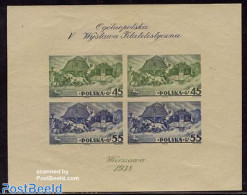 Poland 1938 Stamp Expo S/s Imperforated, Mint NH, Transport - Philately - Coaches - Nuevos