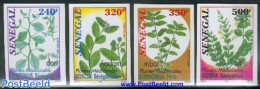 Senegal 2001 Medical Plants 4v Imperforated, Mint NH, Health - Nature - Health - Flowers & Plants - Senegal (1960-...)