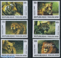 Togo 2000 Catlikes 6v, Mint NH, Nature - Animals (others & Mixed) - Cat Family - Togo (1960-...)