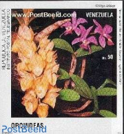 Venezuela 1991 Orchids Imperforeated S/s, Mint NH, Nature - Flowers & Plants - Orchids - Venezuela
