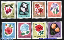 Albania 1965 Flowers 8v, Mint NH, Nature - Flowers & Plants - Roses - Albanie