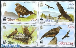 Gibraltar 1996 WWF, Birds 4v [:::] Or [+], Mint NH, Nature - Birds Of Prey - World Wildlife Fund (WWF) - Gibraltar