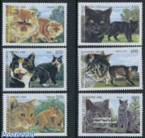 Congo Republic 1999 Cats 6v, Mint NH, Nature - Cats - Otros & Sin Clasificación