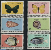 Cuba 1974 Felipe Poey 6v, Mint NH, Nature - Butterflies - Fish - Shells & Crustaceans - Ungebraucht