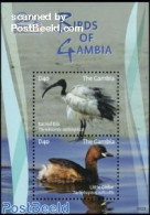 Gambia 2009 Birds Of Gambia S/s, Mint NH, Nature - Birds - Ducks - Gambia (...-1964)