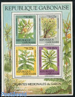 Gabon 1988 Medical Plants S/s, Mint NH, Health - Nature - Health - Flowers & Plants - Neufs