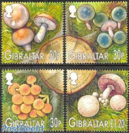 Gibraltar 2003 Mushrooms 4v, Mint NH, Nature - Mushrooms - Champignons