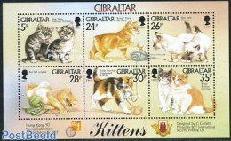 Gibraltar 1997 Cats S/s, Mint NH, Nature - Various - Cats - Textiles - Textiel