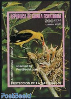 Equatorial Guinea 1976 European Birds S/s Imperforated, Mint NH, Nature - Birds - Equatorial Guinea
