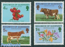 Guernsey 1970 Agriculture 4v, Mint NH, Nature - Cattle - Flowers & Plants - Fruit - Frutas