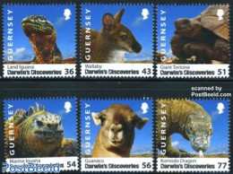 Guernsey 2009 Darwins Discoveries 6v, Mint NH, Nature - Animals (others & Mixed) - Reptiles - Turtles - Guernesey