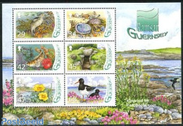 Guernsey 2006 Ramsar Site Wetlands 6v M/s, Mint NH, Nature - Birds - Fish - Flowers & Plants - Sea Mammals - Shells & .. - Vissen