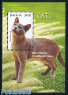 Guyana 2006 Blue Burmese S/s, Mint NH, Nature - Cats - Guyane (1966-...)