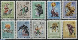Hungary 1965 Circus 10v, Mint NH, Nature - Performance Art - Sport - Animals (others & Mixed) - Bears - Cat Family - C.. - Ungebraucht