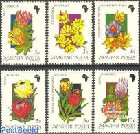 Hungary 1990 Tree Flowers 6v, Mint NH, Nature - Various - Flowers & Plants - Maps - Ungebraucht