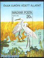 Hungary 1980 European Nature Conservation S/s Imperforated, Mint NH, History - Nature - Europa Hang-on Issues - Birds - Ongebruikt