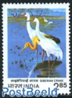 India 1983 Siberian Crane 1v, Mint NH, Nature - Birds - Nuevos