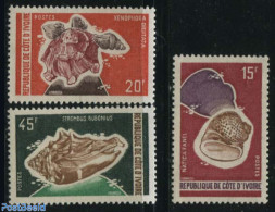 Ivory Coast 1972 Marine Life, Shells 3v, Mint NH, Nature - Shells & Crustaceans - Unused Stamps