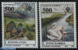 Yugoslavia 1992 European Nature Conservation 2v, Mint NH, History - Nature - Europa Hang-on Issues - Birds - National .. - Unused Stamps