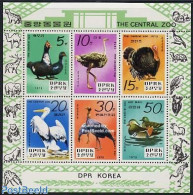 Korea, North 1979 Birds In Zoo 6v M/s, Mint NH, Nature - Birds - Ducks - Poultry - Korea (Nord-)