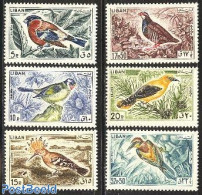 Lebanon 1965 Birds 6v, Mint NH, Nature - Birds - Woodpeckers - Lebanon