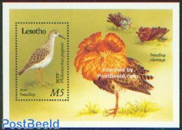 Lesotho 1989 Waterbirds S/s, Mint NH, Nature - Birds - Lesotho (1966-...)