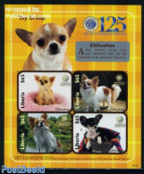 Liberia 2009 Chihuahua 4v M/s, Mint NH, Nature - Dogs - Sonstige & Ohne Zuordnung