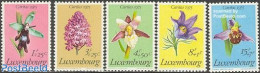 Luxemburg 1975 Caritas, Flowers 5v, Mint NH, Nature - Flowers & Plants - Ongebruikt