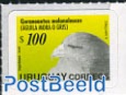 Uruguay 2006 Definitive, Grey Eagle 1v S-a ($100), Mint NH, Nature - Birds - Uruguay