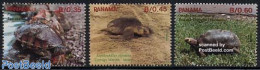 Panama 1990 Turtles 3v, Mint NH, Nature - Reptiles - Turtles - Panamá