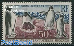 French Antarctic Territory 1962 Penguin 1v, Mint NH, Nature - Science - Birds - Penguins - The Arctic & Antarctica - Nuovi