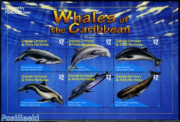 Grenada Grenadines 2010 Carriacou, Whales Of The Caribbean 6v M/s, Mint NH, Nature - Sea Mammals - Grenade (1974-...)