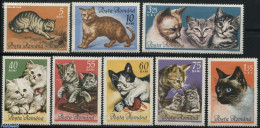 Romania 1965 Cats 8v, Mint NH, Nature - Cats - Unused Stamps