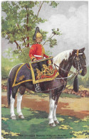 7ème (princess Royal's) Dragoon Guards Rare - Autres & Non Classés