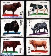 China People’s Republic 1981 Rinder 6v, Mint NH, Nature - Animals (others & Mixed) - Cattle - Ungebraucht